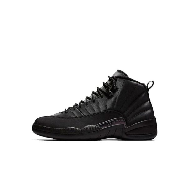 air-jordan-12-black-anthracite.jpg