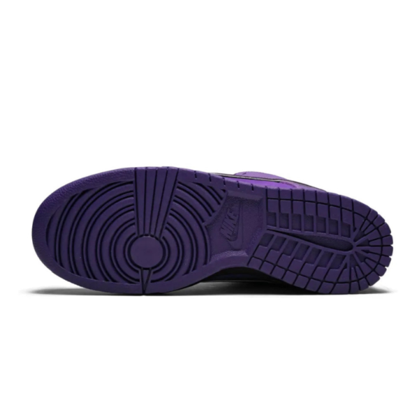 nike-dunk-low-concepts-purple-lobster-1.png