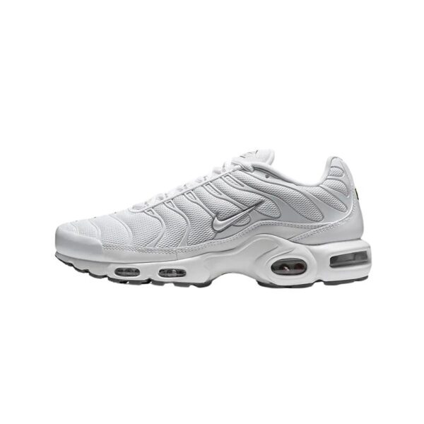 nike-tn-blancas.jpg