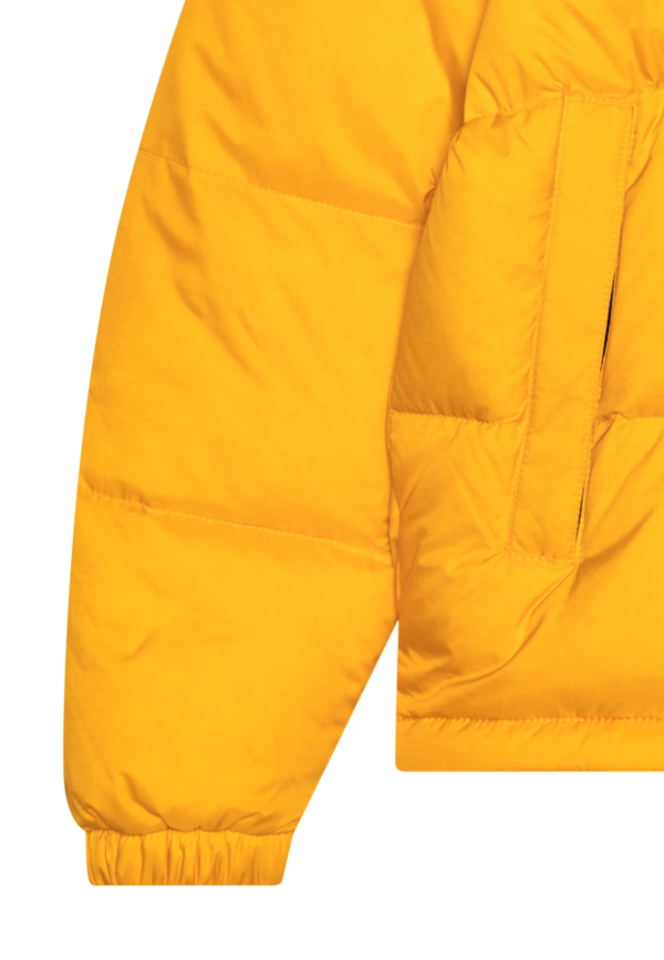 the-north-face-yellow.png