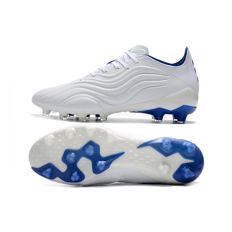 COPA SENSE.1 AG
