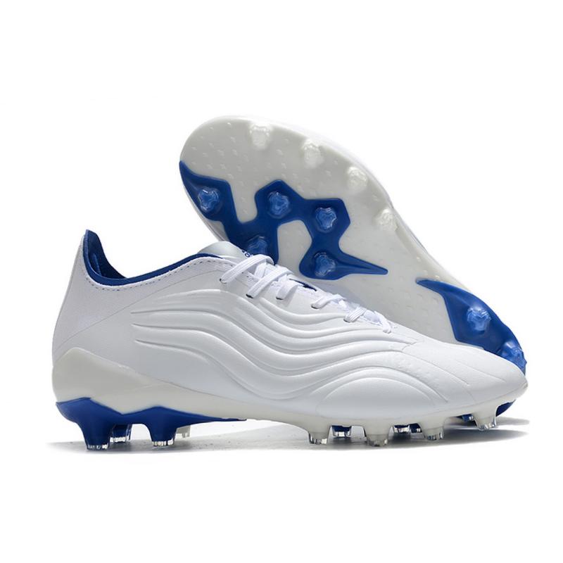 COPA SENSE.1 AG